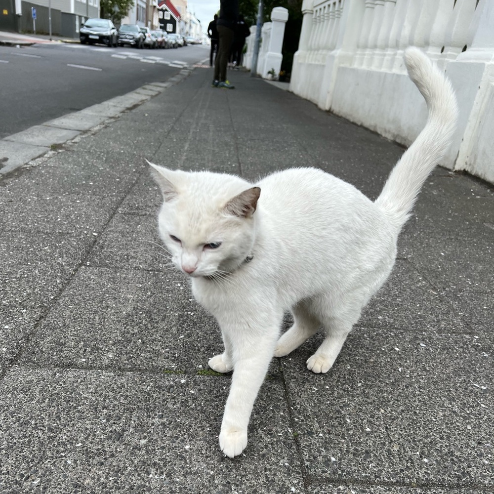 Meet your Posher, Jassy